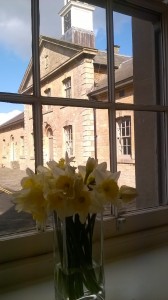 Daffodils in window Dig Corsham 2